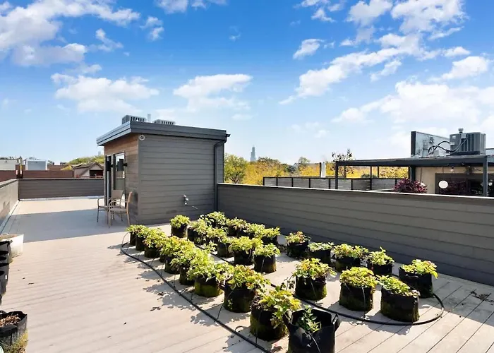 Stunning 5Br Home In Heart Of Chicago With 2 Rooftops